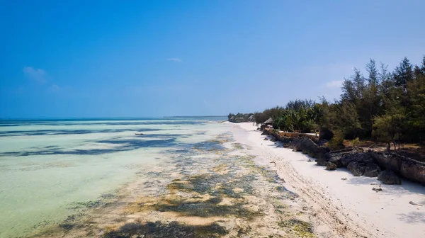 Досвід Спокійності Краси Пляжу Занзібар Кришталево Чисті Води Зустрічаються Білими — стокове фото