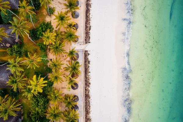 Clima Quente Águas Calmas Fazem Dos Verões Praia Zanzibar Destino — Fotografia de Stock