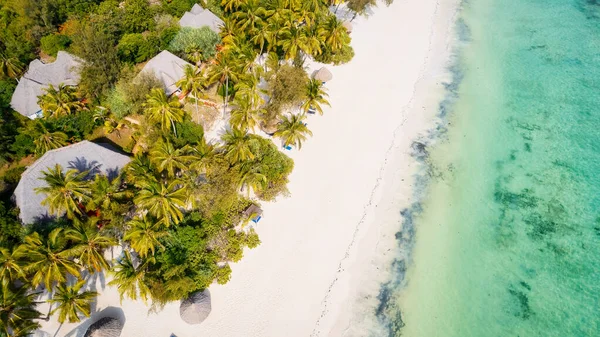 Experimente Tranquilidade Beleza Zanzibar Beach Onde Águas Cristalinas Encontram Praias — Fotografia de Stock
