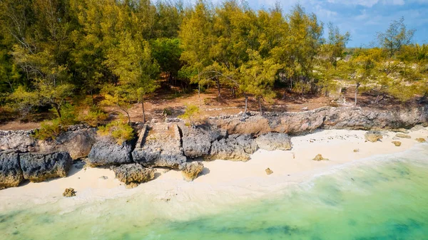 Sperimentate Tranquillità Bellezza Della Spiaggia Zanzibar Dove Acque Cristalline Incontrano — Foto Stock