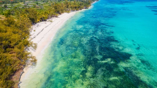 Nefes Kesici Güzelliğiyle Zanzibar Plajı Günlük Hayatın Karmaşasından Kaçmak Kendilerini — Stok fotoğraf