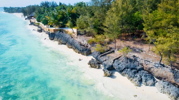 Experimente Tranquilidade Beleza Zanzibar Beach Onde Águas Cristalinas Encontram Praias — Fotografia de Stock