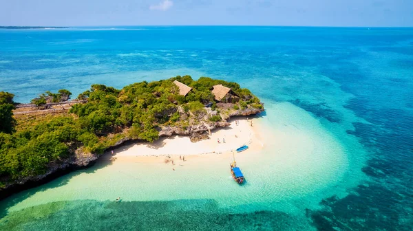 Tropická Krajina Ostrově Zanzibar Plná Zářivých Barev Exotické Flóry Jedinečné — Stock fotografie