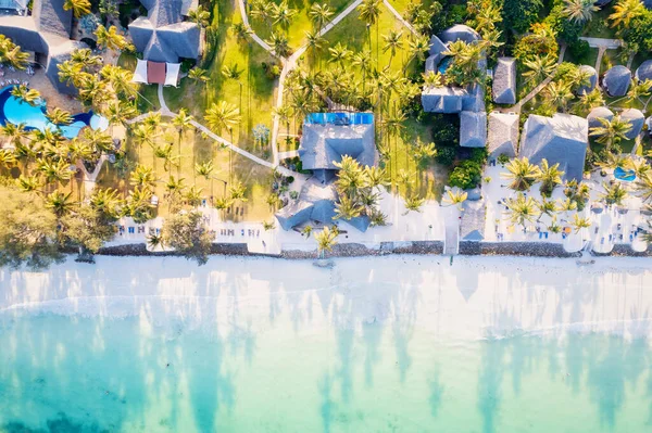 Paisagem Tropical Ilha Zanzibar Está Repleta Cores Vibrantes Flora Exótica — Fotografia de Stock