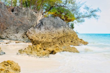 Zanzibar Adası beyaz kum, palmiye ağaçları ve turkuaz sularla güneşli bir yaz gününde kabarık bulutlu açık mavi bir gökyüzünün zeminine karşı çarpıcı bir tropikal plaja sahiptir. Bu resim gibi ortam rahatlatıcı bir tatil için mükemmel..