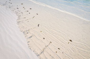 Kendinizi Zanzibar Adası 'nın tropikal plajının doğal güzelliğine bırakın. Beyaz kumları, sallanan palmiye ağaçları ve kristal berrak turkuaz sularıyla güneşli bir yaz gününde mavi gökyüzü ve tüylü bulutlar karşısında.. 