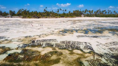 Beyaz kumlu, sallanan palmiye ağaçları ve berrak turkuaz sularıyla güneşli bir yaz gününde mavi gökyüzü ve kabarık bulutları olan tropikal bir cennete kaçmak. Zanzibar Adası en iyisi. 