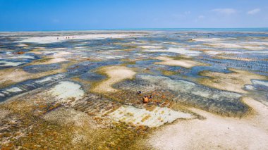 Beyaz kumlu, sallanan palmiye ağaçları ve berrak turkuaz sularıyla güneşli bir yaz gününde mavi gökyüzü ve kabarık bulutları olan tropikal bir cennete kaçmak. Zanzibar Adası en iyisi. 