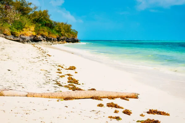 桑给巴尔岛拥有一个迷人的热带海滩 在阳光明媚的夏日 蓝蓝的天空和蓬松的云朵的背景下 拥有白色的沙子 棕榈树和碧绿的海水 这个风景如画的环境非常适合轻松度假 — 图库照片
