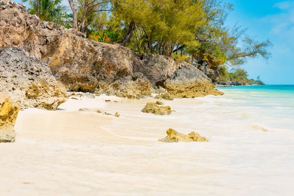 桑给巴尔岛是一个令人惊叹的热带海滩的故乡 它肯定会让你屏住呼吸 在温暖的夏日里 洁白的沙滩 棕榈树和清澈的碧绿海水完美地交织在蓝天和蓬松的云彩之间 — 图库照片