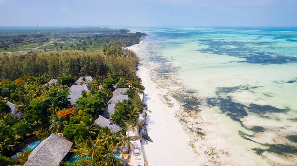 Zanzibar Island Může Pochlubit Nádhernou Tropickou Pláží Bílým Pískem Palmami — Stock fotografie