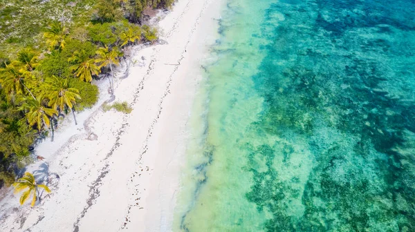 Zanzibar Island Paradiso Bellezza Naturale Con Una Splendida Spiaggia Tropicale — Foto Stock