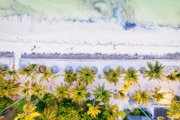 Zanzibar Adası nefes kesen çarpıcı bir tropik plaja ev sahipliği yapar. Beyaz kum, palmiye ağaçları ve kristal berraklığında turkuaz sular ılık bir yaz gününde yumuşacık bulutlarla mavi gökyüzüne karşı kusursuz bir şekilde harmanlanır., 