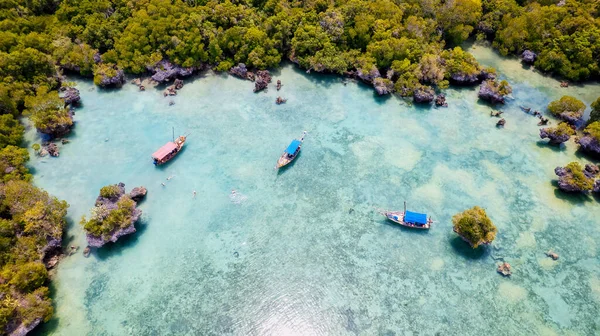 Ponořte Přírodních Krás Tropické Pláže Ostrova Zanzibar Bílým Pískem Kymácejícími — Stock fotografie