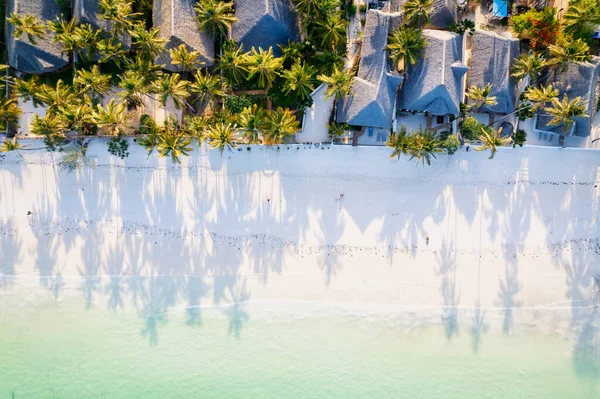 Mergulhe Beleza Natural Praia Tropical Zanzibar Island Com Sua Areia — Fotografia de Stock