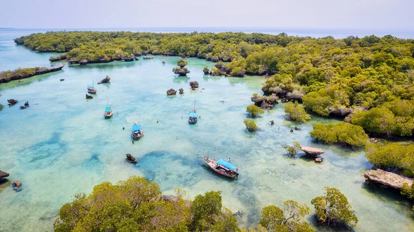 Immergiti Nelle Bellezze Naturali Della Spiaggia Tropicale Dell Isola Zanzibar — Foto Stock