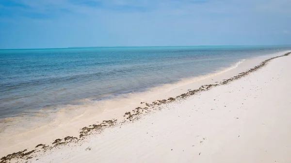 Wspaniała Tropikalna Plaża Białym Piaskiem Palmami Turkusowym Oceanem Przeciwko Błękitnemu — Zdjęcie stockowe