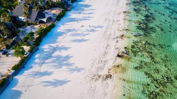 Uma Linda Praia Tropical Com Areia Branca Palmeiras Oceano Azul — Fotografia de Stock