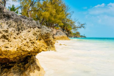 Yukarıdan bakıldığında Zanzibar 'ın kumlu plajlarının nefes kesici güzelliği görülebiliyor. Palmiye ağaçları, şemsiyeler, beyaz kumlar ve Hint Okyanusu' nun kristal gibi berrak sularıyla bezenmiş..