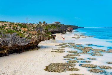 Yukarıdan bakıldığında Zanzibar 'ın kumlu plajlarının nefes kesici güzelliği görülebiliyor. Palmiye ağaçları, şemsiyeler, beyaz kumlar ve Hint Okyanusu' nun kristal gibi berrak sularıyla bezenmiş..