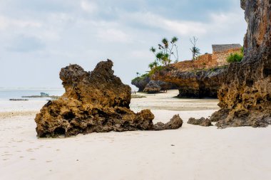 Zanzibar 'ın plajları, hava manzaralı, palmiye ağaçları, şemsiyeler, beyaz kumlar ve Hint Okyanusu' nun kristal berraklığında sularıyla birlikte, yaz tatili için mükemmel bir ortam sunuyor..
