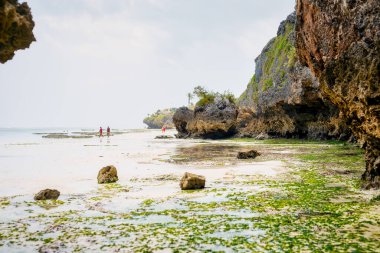 Zanzibar 'ın plajları, hava manzaralı, palmiye ağaçları, şemsiyeler, beyaz kumlar ve Hint Okyanusu' nun kristal berraklığında sularıyla birlikte, yaz tatili için mükemmel bir ortam sunuyor..