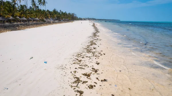 Вид Воздуха Песчаные Пляжи Занзибара Захватывает Суть Тропического Рая Пальмами — стоковое фото