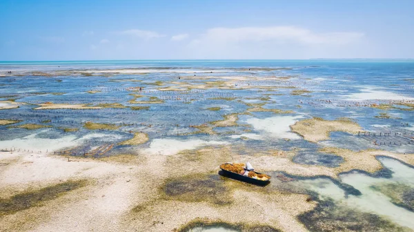 Die Luftaufnahme Von Sansibars Stränden Fängt Die Essenz Eines Tropischen — Stockfoto