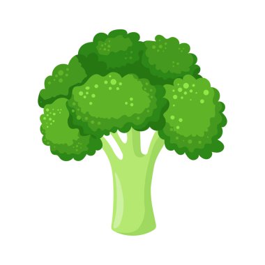 Brokoli düz bir şekilde beyaz arkaplanda izole edilmiş. Vektör illüstrasyonu