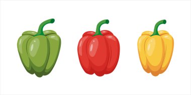 Beyaz arka planda üç farklı renkte dolmalık biber seti. Kırmızı, yeşil, sarı dolma biber. Vektör illüstrasyonu