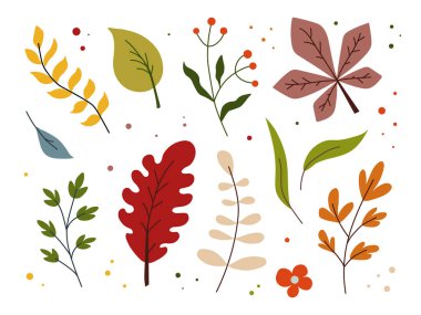 Düz Tasarım Yaprak Koleksiyonu ve Çiçek Elementleri