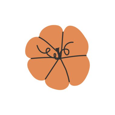 Beyaz sarmaşıklı en az turuncu balkabağı.