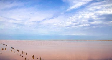 Tuzlu gölün pembe suyu Sivash, mavi bir ufuk çizgisi ile