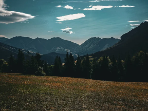 牧草地と山の風景 — ストック写真