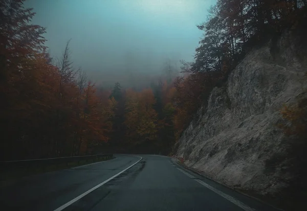 Φθινοπωρινό Δασικό Δρόμο Στα Βουνά Πυκνή Ομίχλη — Φωτογραφία Αρχείου