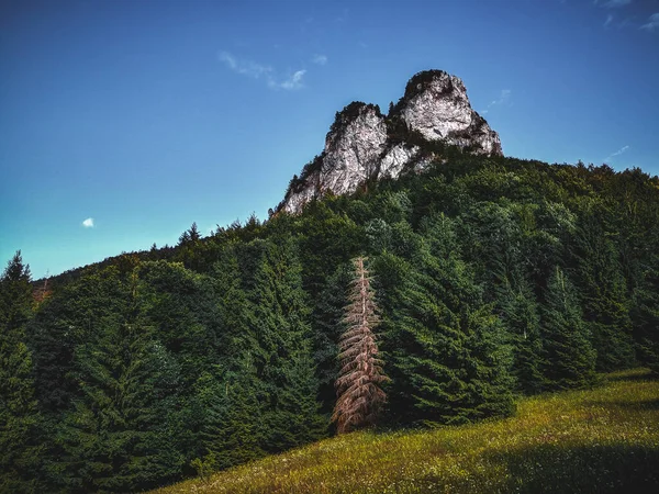 山の中に山脈がある美しい風景 — ストック写真