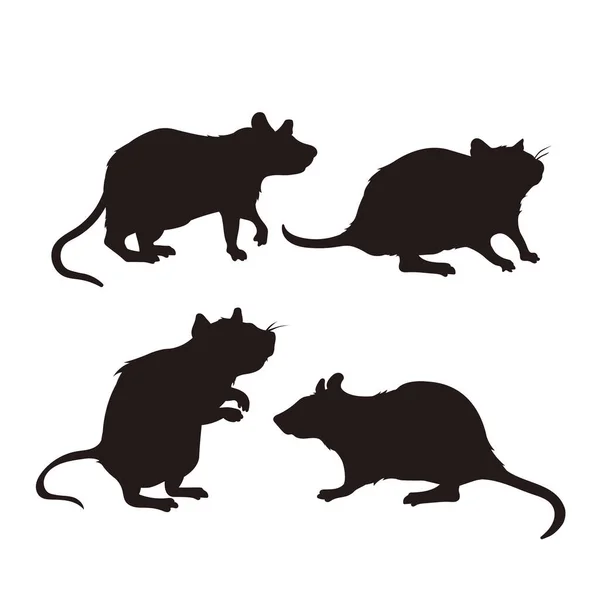 Rat silhouette Stock Photos, Royalty Free Rat silhouette Images ...