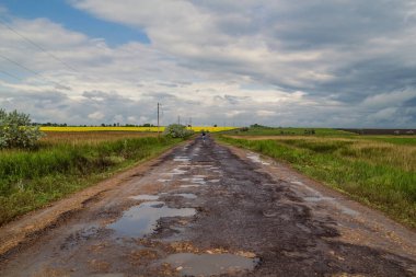 Saha manzarası fotoğrafı için zorlu bir yol. Arka planda çiçek açan tecavüzlerin olduğu güzel doğa manzarası fotoğrafçılığı. Idyllic sahne. Duvar kağıdı, seyahat günlüğü, dergi, makale için yüksek kaliteli resim