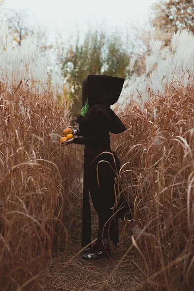 Pani Czarnej Odzieży Malowniczej Fotografii Gotyckie Ubranie Zdjęcie Kobiety Jesiennym — Zdjęcie stockowe
