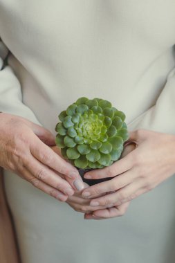 Kadınları yakın plan konsept fotoğraflarına sarın. Üç kuşak. Aile üyeleri. Arka planda bayanlar olan ön manzara fotoğrafçılığı. Duvar kağıdı, seyahat günlüğü, dergi, makale için yüksek kaliteli resim