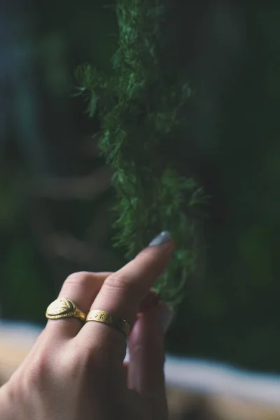 여성의 전나무 컨셉트 사진을 닫습니다 나뭇가지 사이드는 사진을 배경에 반지로 — 스톡 사진
