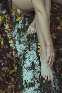Huş ağacı kütüğü konsept fotoğrafında çıplak kadın bacaklarını kapat. Çıplak ayaklı kadın. Arka planda gölcüklü yan görüntü fotoğrafçılığı. Duvar kağıdı, seyahat günlüğü, dergi, makale için yüksek kaliteli resim