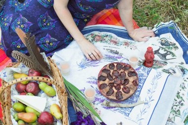 Piknik konsepti fotoğrafını kapat. Lezzetli ikramlar. Taze meyve. Arka planda renkli ekoseli üst görüntü fotoğrafçılığı. Duvar kağıdı, seyahat günlüğü, dergi, makale için yüksek kaliteli resim