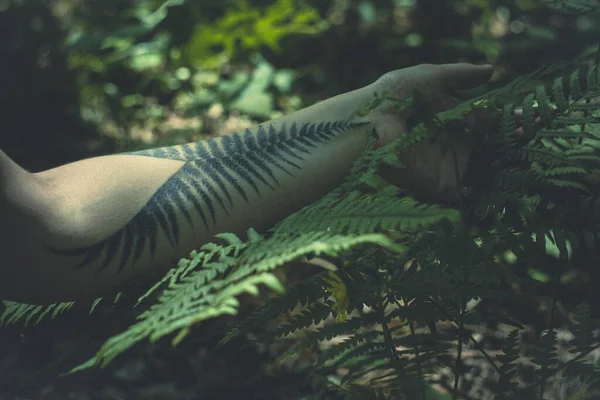 Fechar Mão Com Foto Conceito Tatuagem Senhora Acariciando Plantas Fotografia — Fotografia de Stock