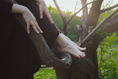 Yakın plan kadın, ağaç konsepti fotoğrafının üzerinde oturuyor. Yalınayak kadın. Arka planda yeşil orman olan yan görüntü fotoğrafçılığı. Duvar kağıdı, seyahat günlüğü, dergi, makale için yüksek kaliteli resim