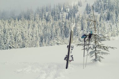 Dağ manzarasında kayak ekipmanları. Arka planda kar ormanı olan güzel doğa manzarası fotoğrafçılığı. Idyllic sahne. Duvar kağıdı, seyahat günlüğü, dergi, makale için yüksek kaliteli resim