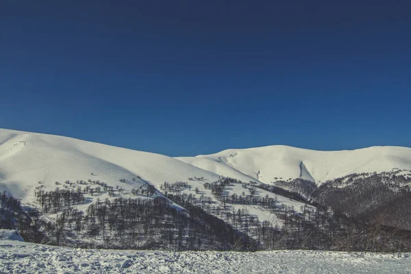 Karpatské Hory Zasněženou Fotografií Krajiny Krásná Příroda Scenérie Fotografie Divočinou — Stock fotografie