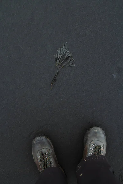 Deniz yosunu konsepti fotoğrafına yakın biri. Deniz kenarında bir gezgin. Arka planda siyah kum plajı olan ilk kişi fotoğrafçılığa bakıyor. Duvar kağıdı, seyahat günlüğü, dergi, makale için yüksek kaliteli resim