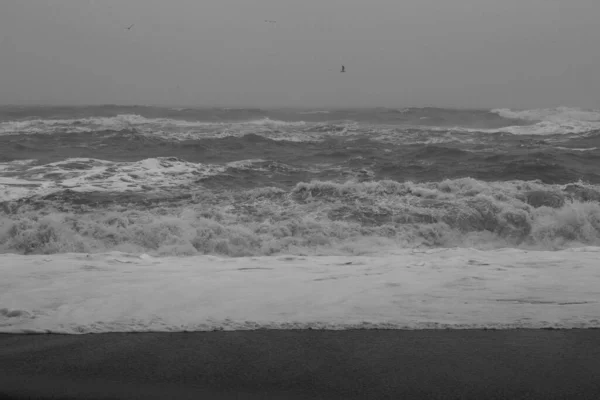 Mořská Pláž Bouřlivý Den Monochromatické Krajiny Foto Krásná Příroda Scenérie — Stock fotografie