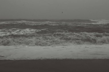 Fırtınalı deniz ve karanlık kum monokrom manzara fotoğrafı. Arka planda gökyüzü olan güzel doğa fotoğrafçılığı. Idyllic sahne. Duvar kağıdı, seyahat günlüğü, dergi, makale için yüksek kaliteli resim